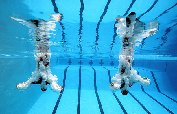 全红婵首战全运会,即夺10米台金牌