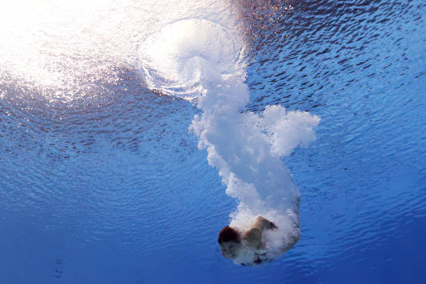 全红婵:从湛江农家女孩到奥运冠军的传奇之路